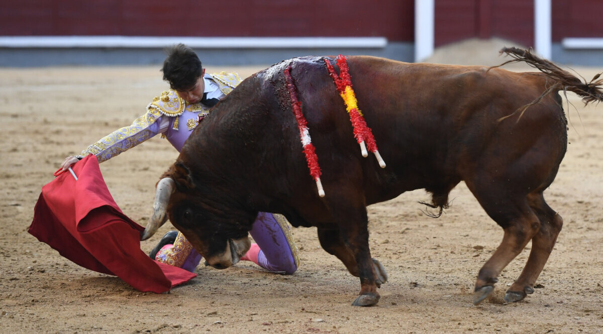 El triunfo de Alejandro Chicharro en Madrid, en imágenes