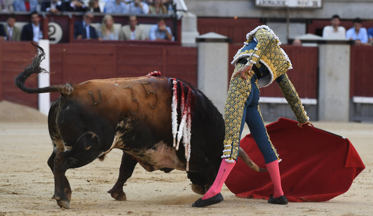 Roca Rey levanta pasiones: de rozar el triunfo a escuchar los tres avisos