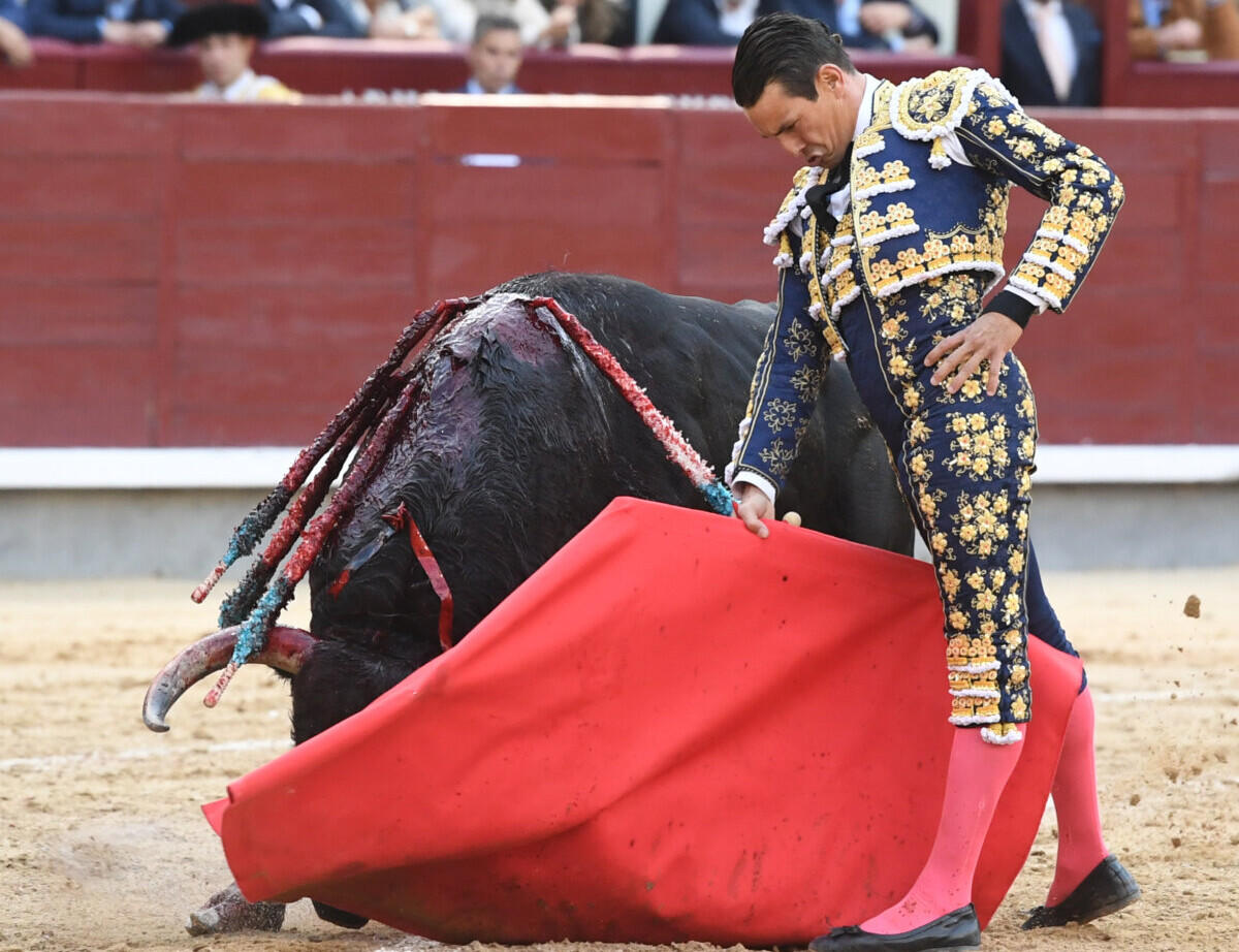 Manzanares, los mejores muletazos de la sexta de San Isidro