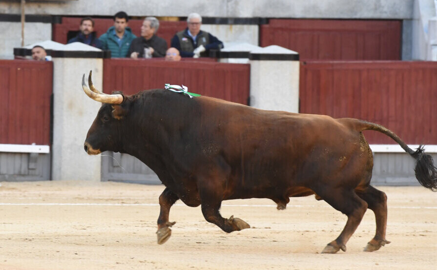 El Montecillo desluce la goyesca del 2 de Mayo en Madrid