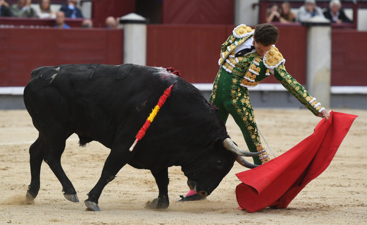 Ginés Marín, al natural este domingo en Las Ventas. Foto: Javier Arroyo