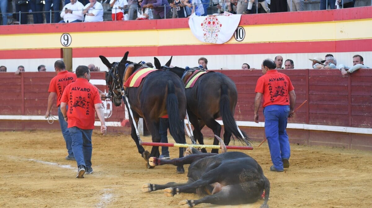 Adrián Centenera, Mario Arruza y un novillo de vuelta de Zacarías Moreno en Valdilecha