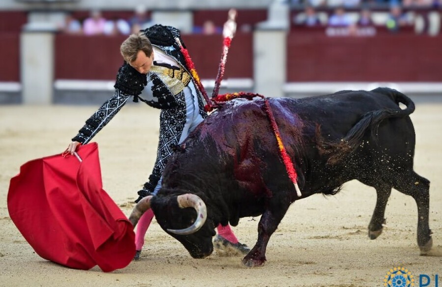 Ricardo Gallardo: "Ha sido una faena de dos orejas de toda la vida"