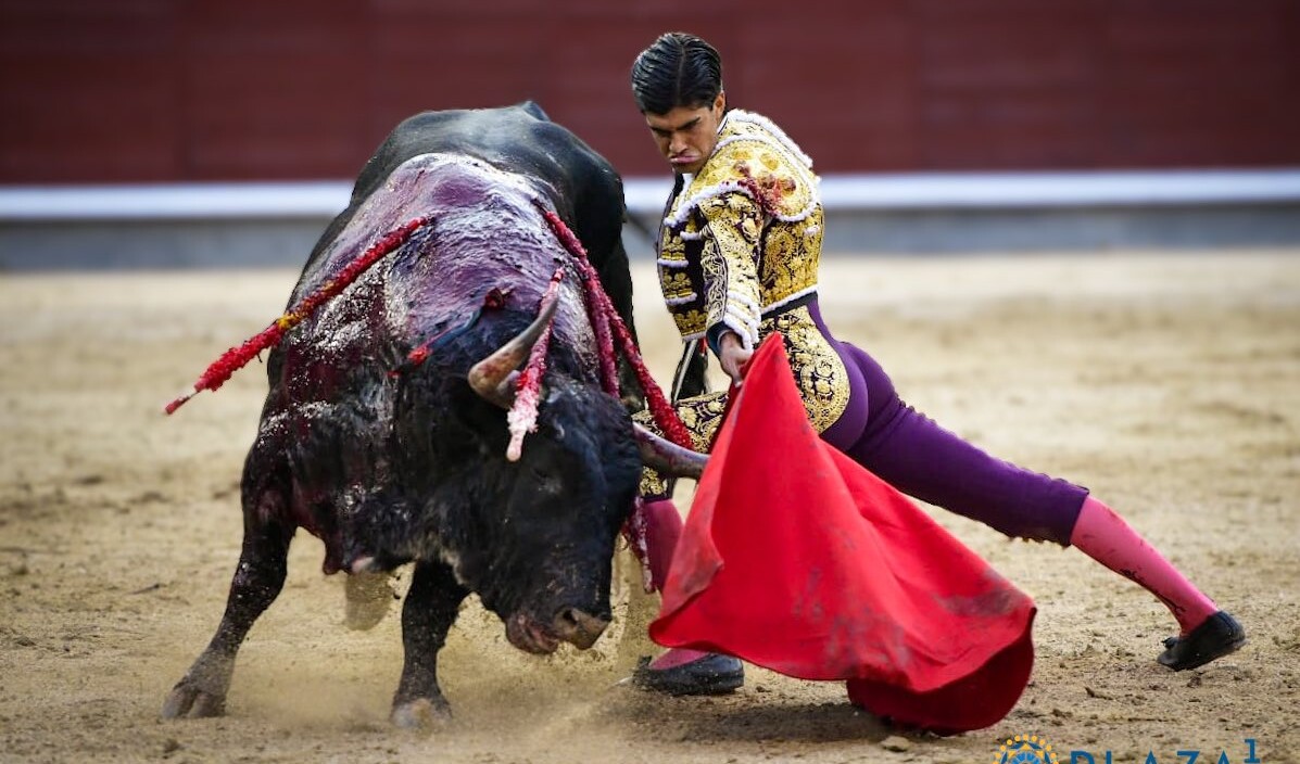 Francisco de Manuel: "Ha sido un gran toro. La pena ha sido la espada"