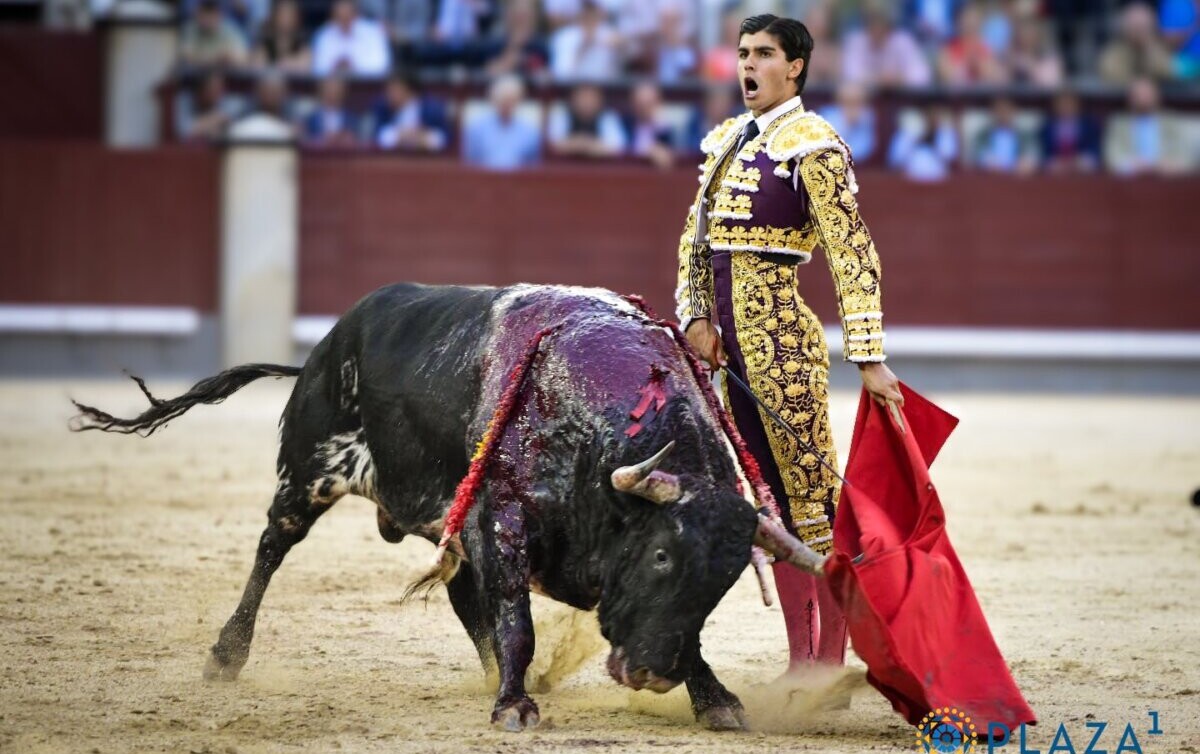 Bastonito reverdeció laureles de Baltasar Ibán