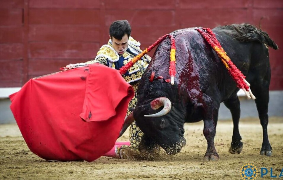 Tomás Rufo: "Intenté torearlo despacio y me tiré a matarlo con el corazón"