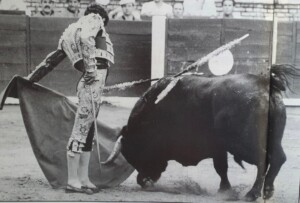 Finito de Córdoba, al natura ante Tabernero.