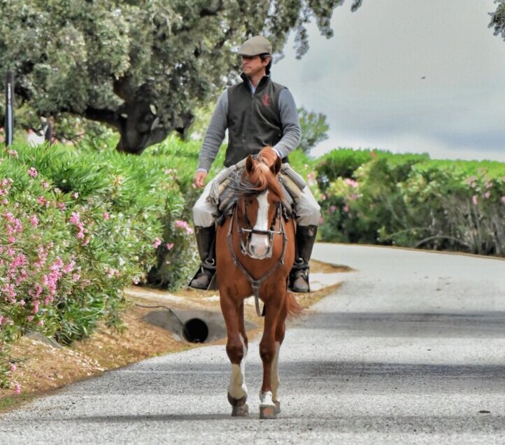 El Juli presenta su corrida de toros para Aranjuez