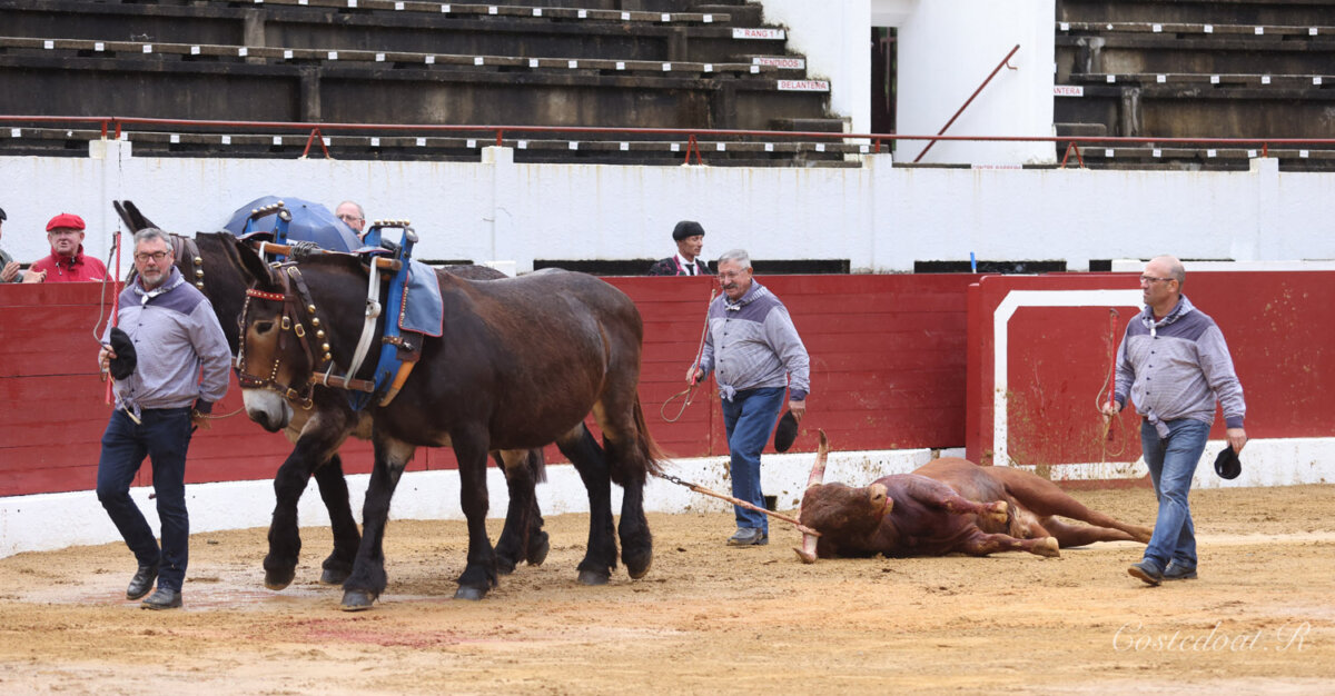 Palha regresará a Aire sur l'Adour en 2025