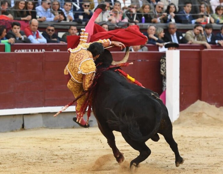 Juan Ortega, un puntazo en gemelo interno y otro en región pretibial