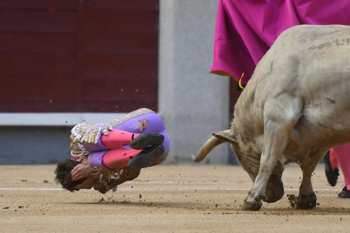 García Padrós sobre Jesús Moreno: “La cornada fue fuerte y le ocasionó muchos muchos destrozos, pero está bien”
