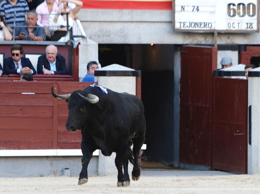 Santiago Domecq: "Han servido dos grandes toros pero pedimos disculpas por no lidiar la corrida completa"