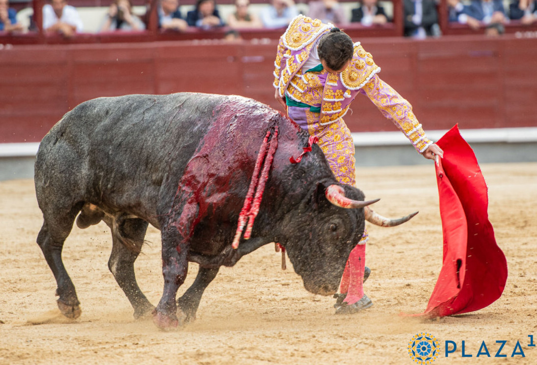 Castaño y Del Pilar sacan nota con díscolos escolares (La 22ª de San Isidro, en vídeo)