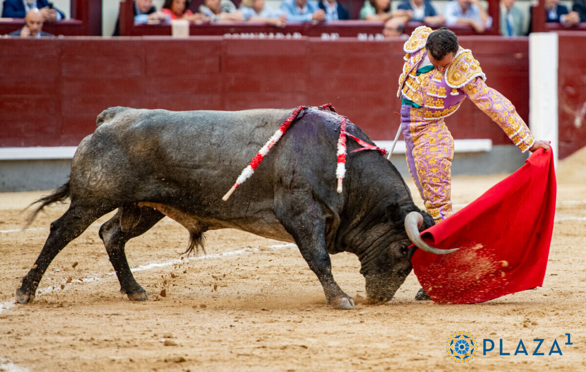 Apuesta sin límite de Damián Castaño con difíciles escolares