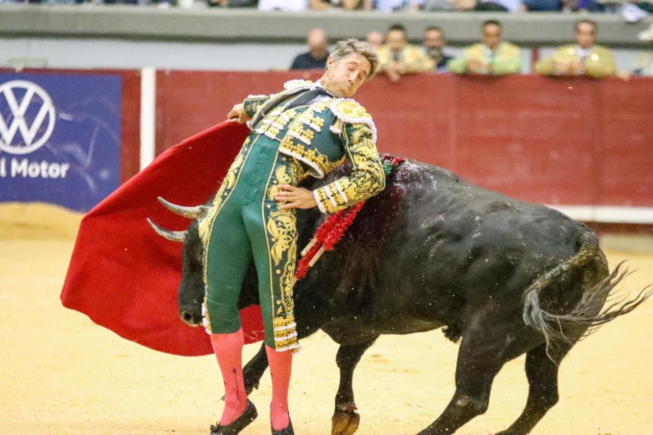 Manuel Escribano, "hematoma traumático en la rodilla e inserción en el tendón"