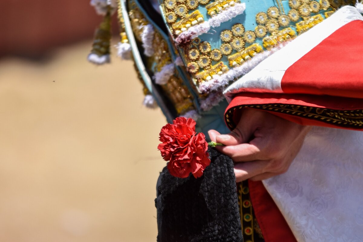 Estos son los tres finalistas del Circuito de Novilladas de la Comunidad de Madrid
