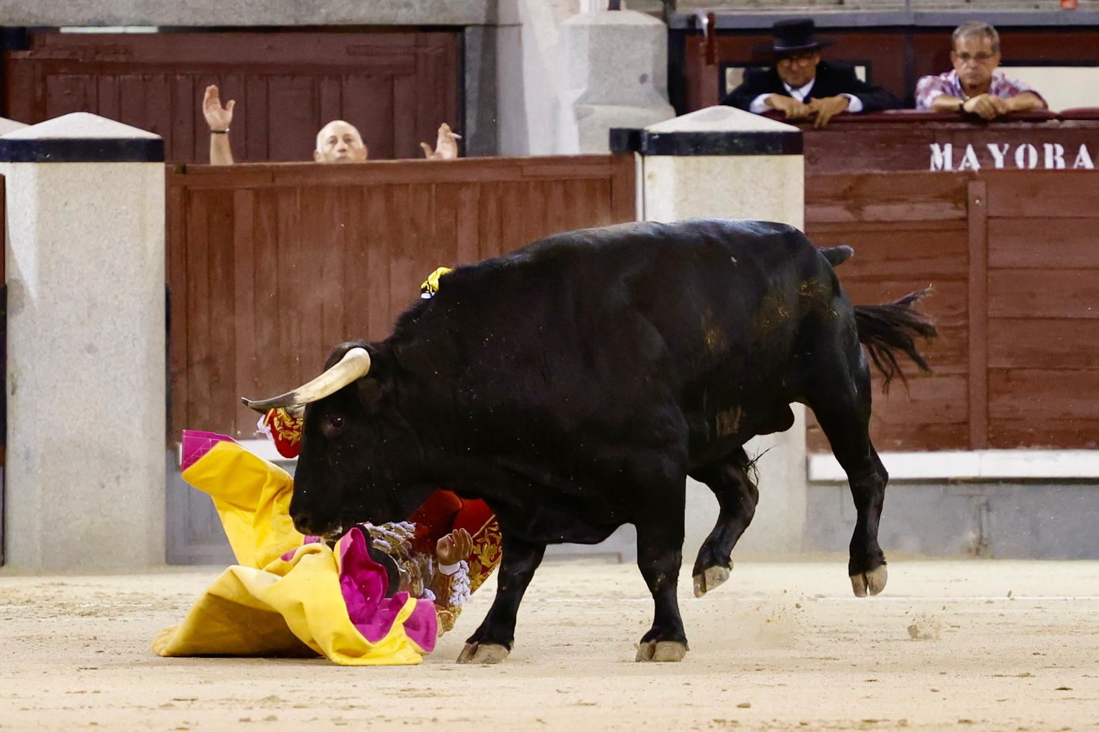 Impresionante voltereta a portagayola a Pedro Gallego