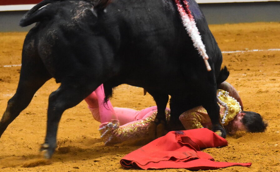Gonzalo Caballero, intervenido este jueves de cuatro fracturas en el húmero: "Las pruebas han sido peor de lo esperado"