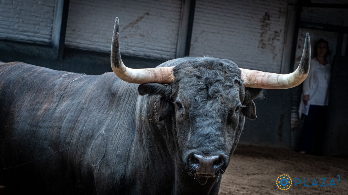Cacereño abre la corrida del arte en homenaje a la Policía Nacional en Las Ventas