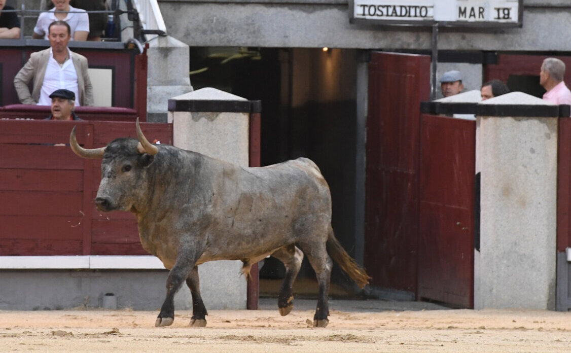 Adolfo Martín y tres triunfadores para abrir la temporada en Las Ventas