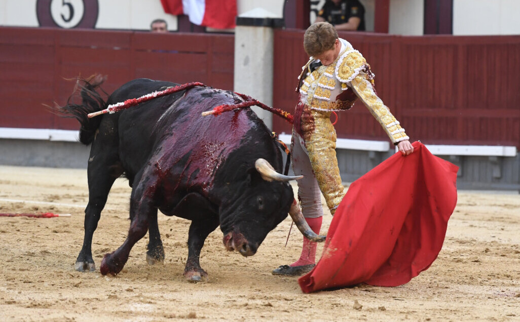 Para no perjudicar al torero, perjudica al ganadero