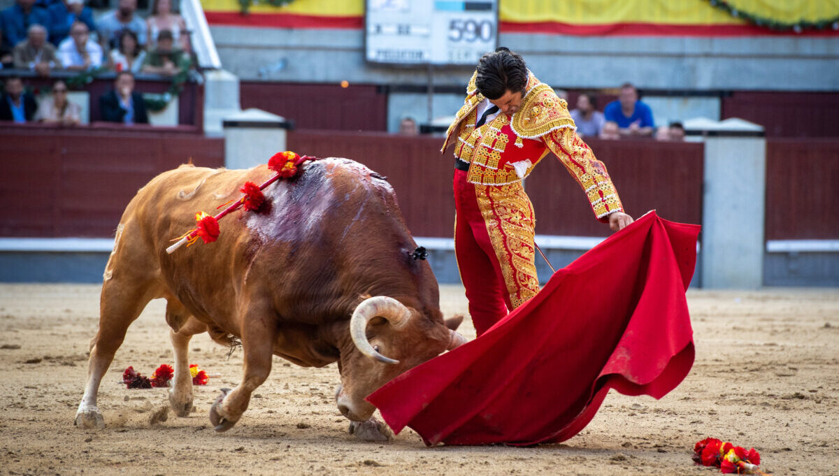 El hueco de Morante en Beneficencia, para "un triunfador o un torero de actuación destacada"