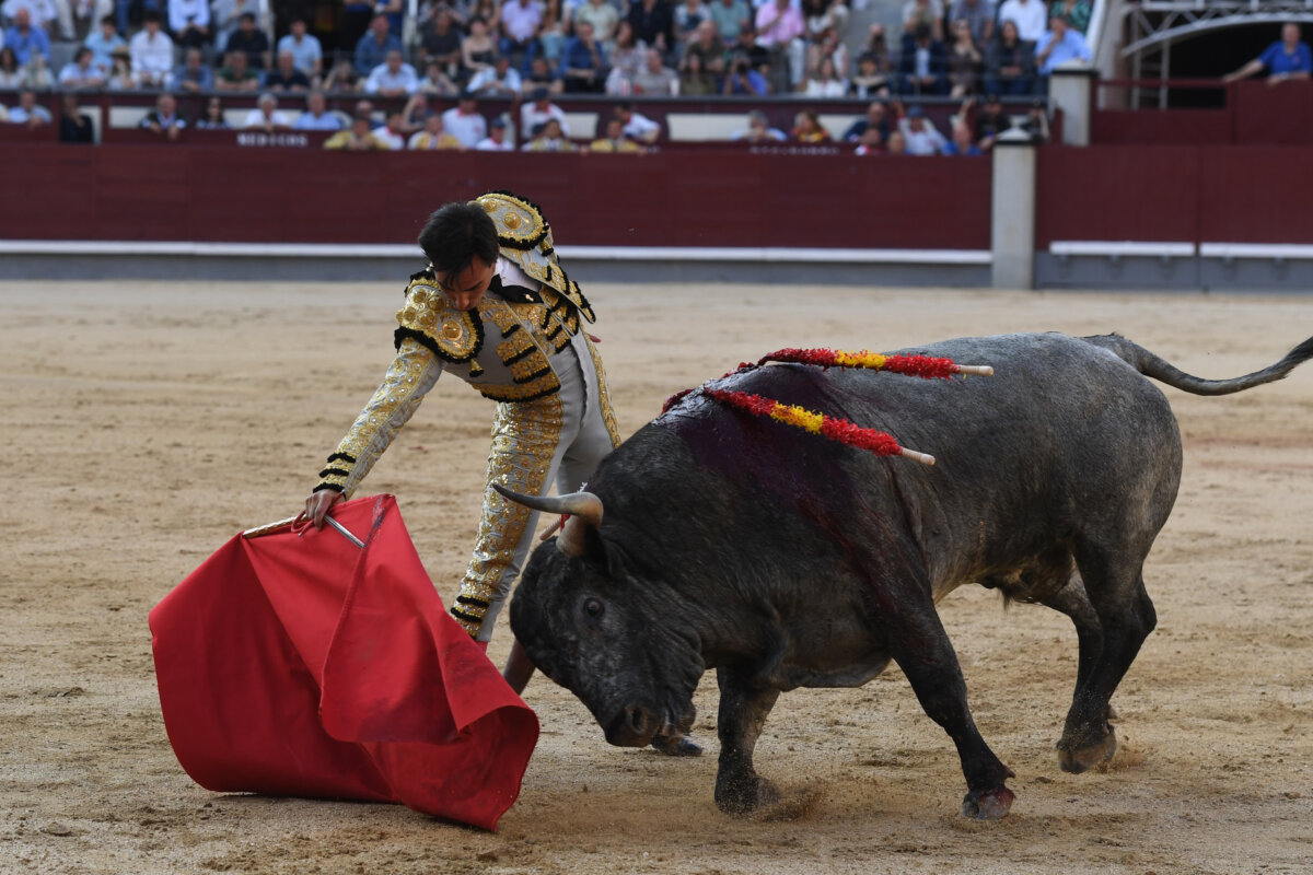 Seria actuación de Gómez del Pilar (La de José Escolar, en imágenes)