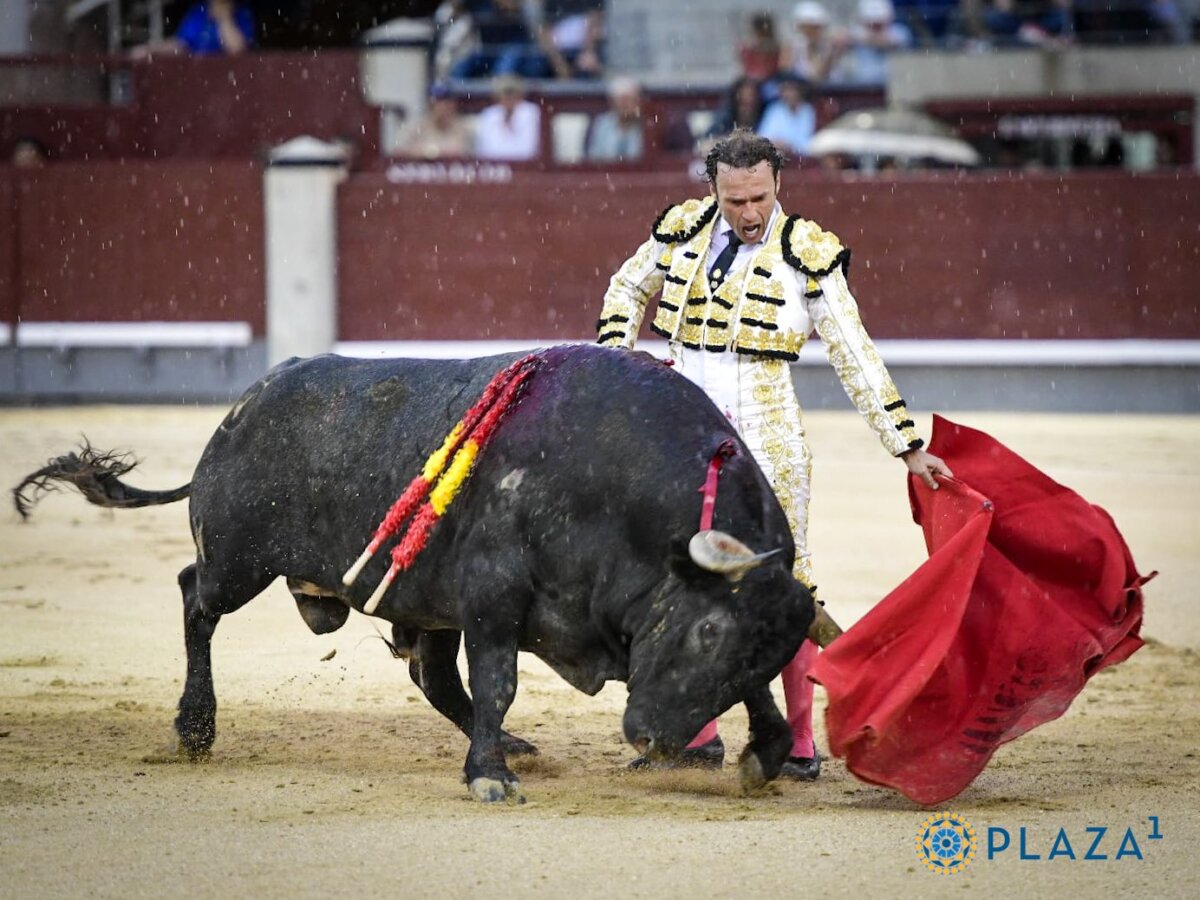 Ferrera, al natural, contra los elementos (la de Adolfo Martín, en imágenes)