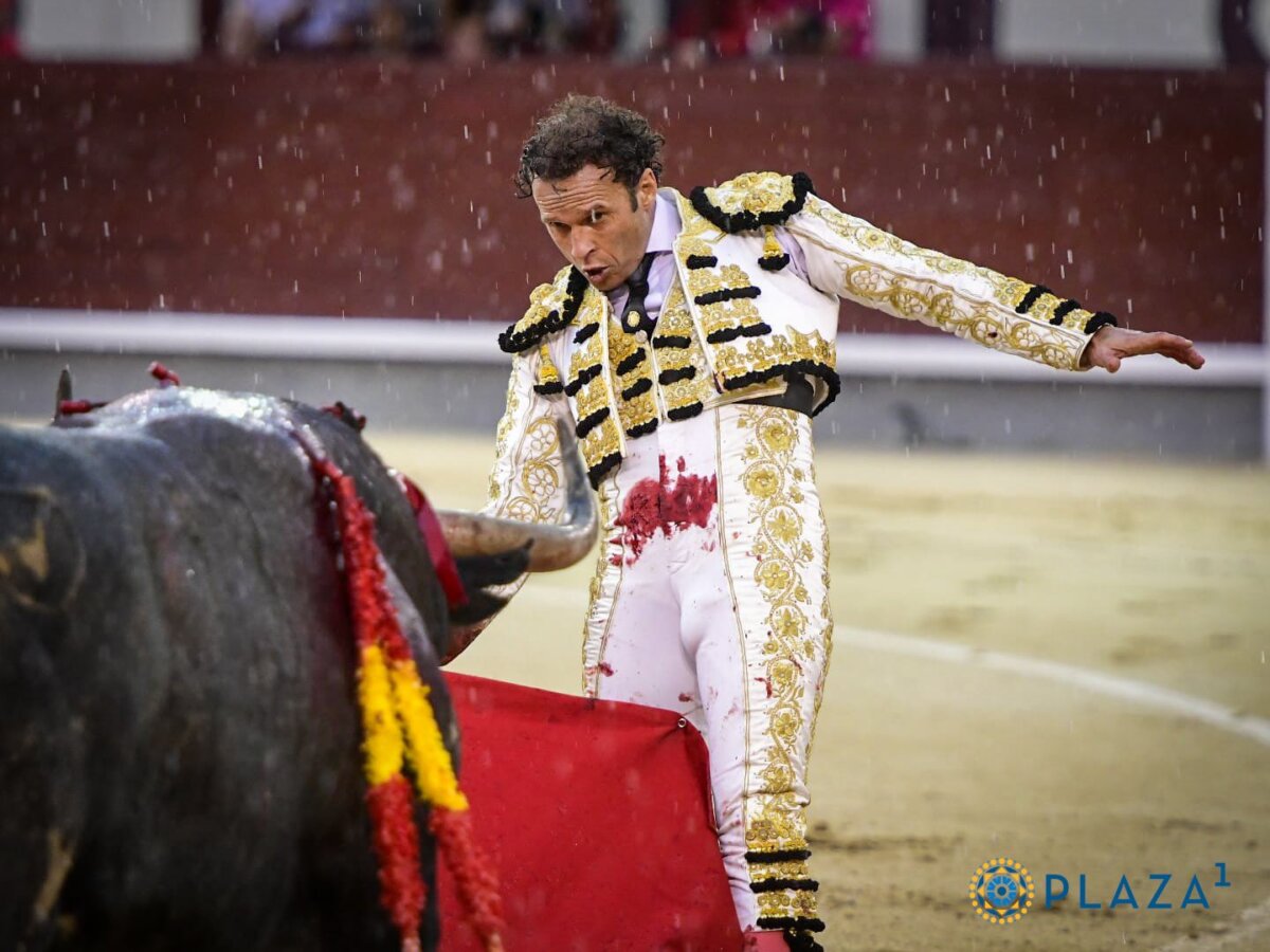 Antonio Ferrera, acartelado este domingo en México