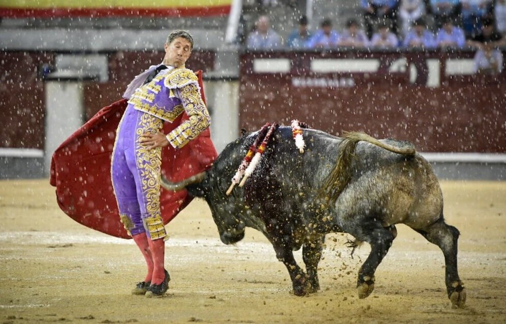 Manuel Escribano: "¿La oreja? Ha sido una putada, pero estoy feliz"