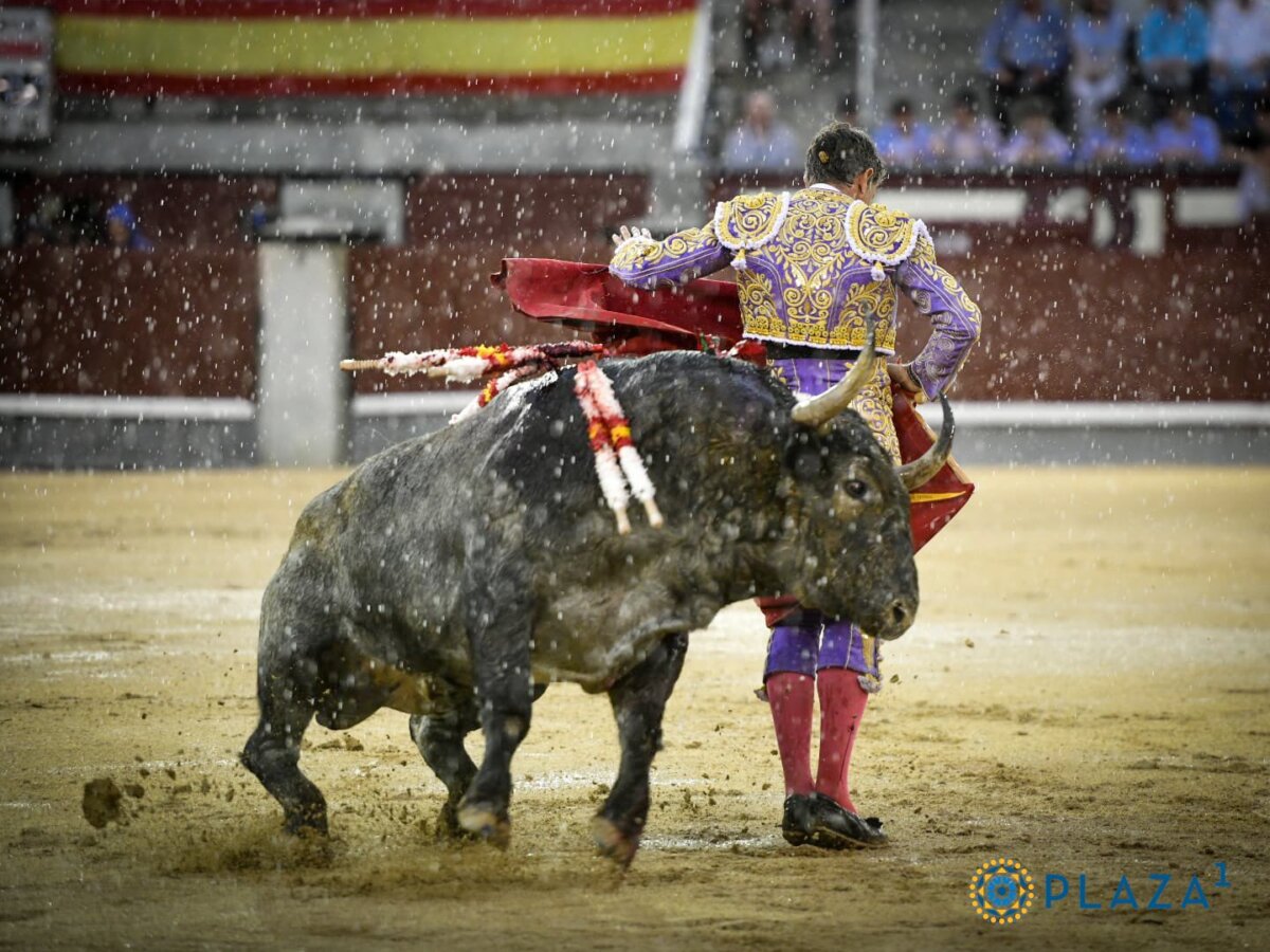 Y en la 24ª... se desató el diluvio (la de Adolfo Martín, en vídeo)