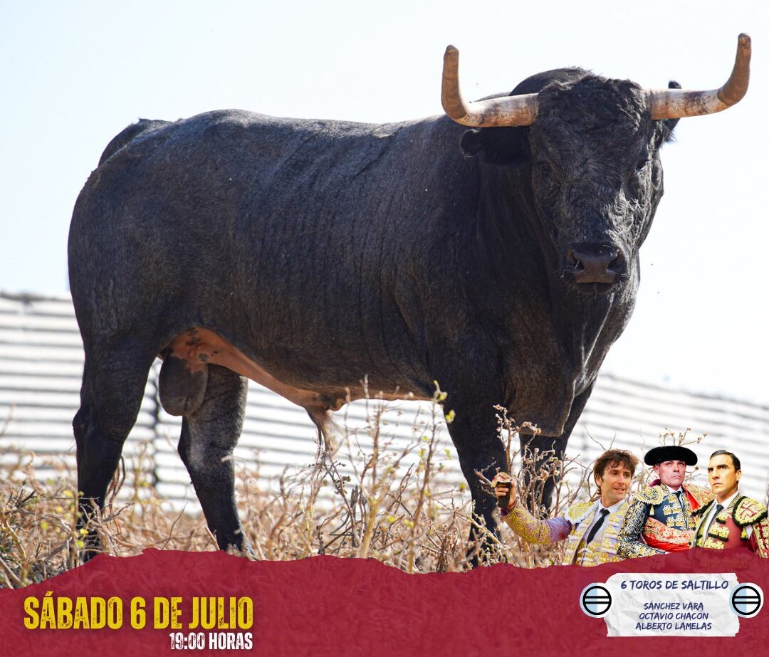 Los toros de Saltillo para la Feria del Ángel de Teruel