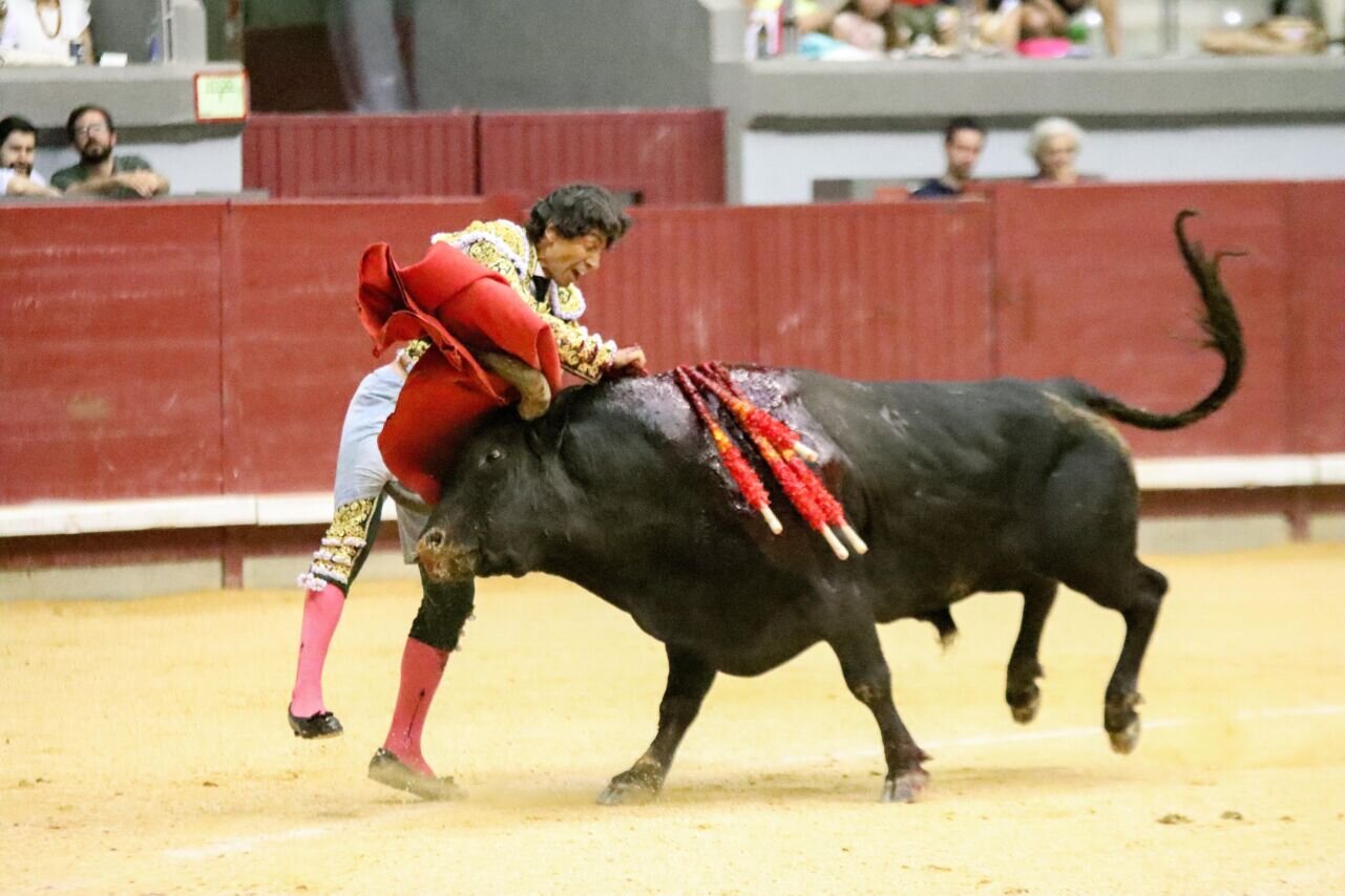 Burgos: Curro Díaz, cornada en el muslo derecho y luxación del codo izquierdo