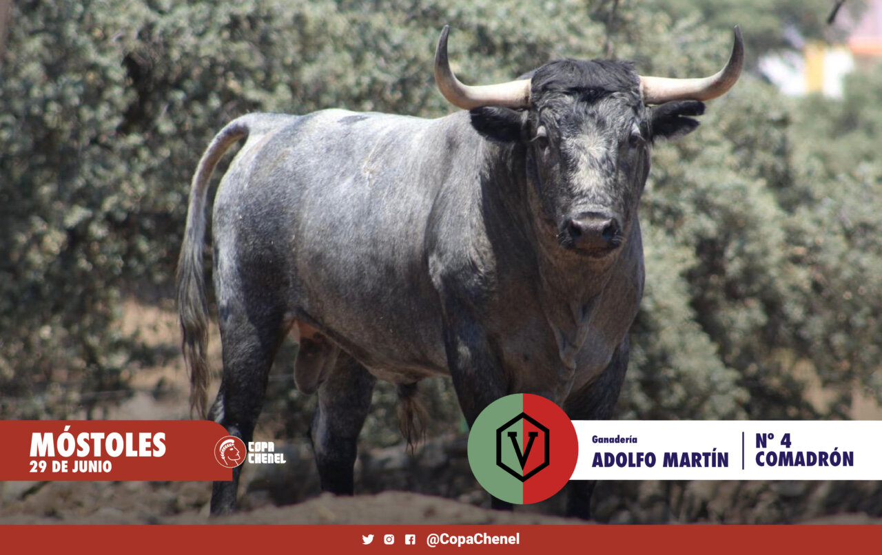 Los toros de Adolfo Martín y Zacarías Moreno para la final a tres de la Copa Chenel