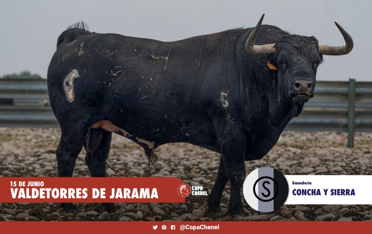 Los toros del duelo ganadero entre Concha y Sierra y Ana Romero en Valdetorres de Jarama