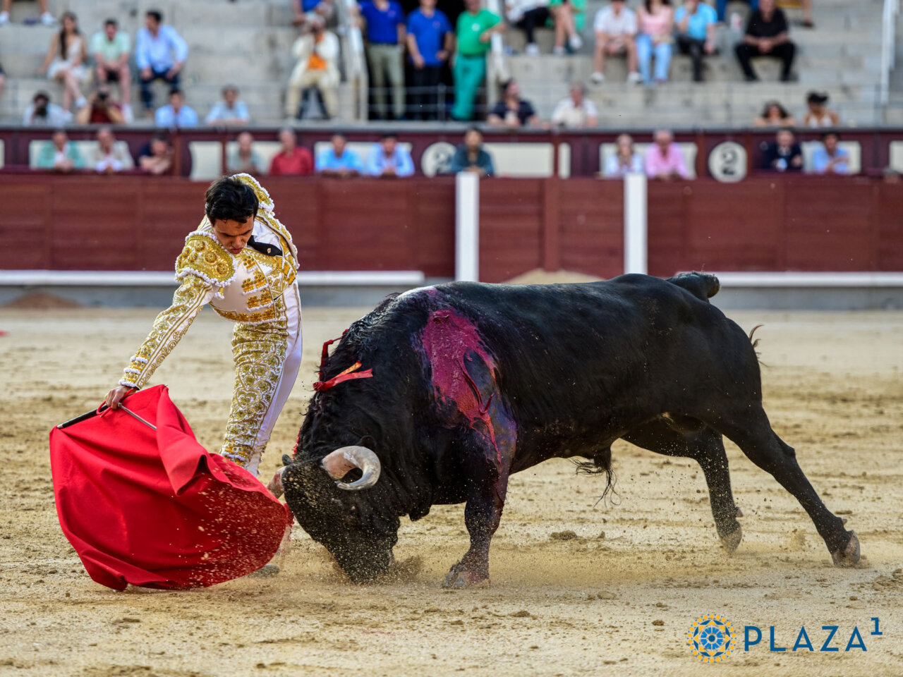 Vuelta al ruedo para una entregada terna en Madrid