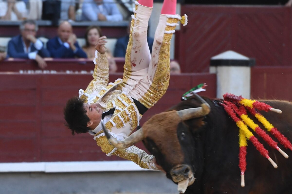 Francisco José Espada, cornada de gravedad en el campo que afecta la femoral