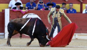 Foto: Antonio Vigueras