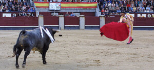 El Cid y el bravo Guitarrero, en Las Ventas. Foto: Juan Pelegrín / Las Ventas