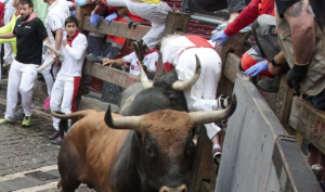 Foto: Noticias de Navarra