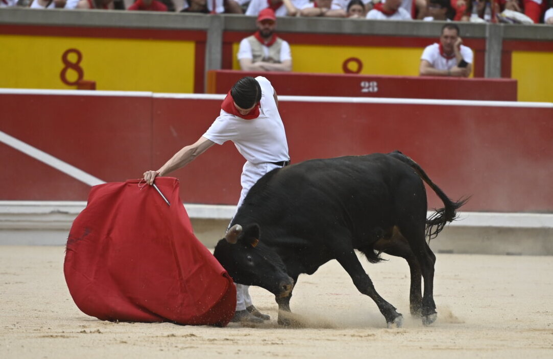 Los novillos de Hermanas Azcona brillan en un ambientado "Toros en familia"