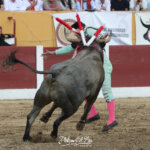 Foto: Phillipe Gil Mir