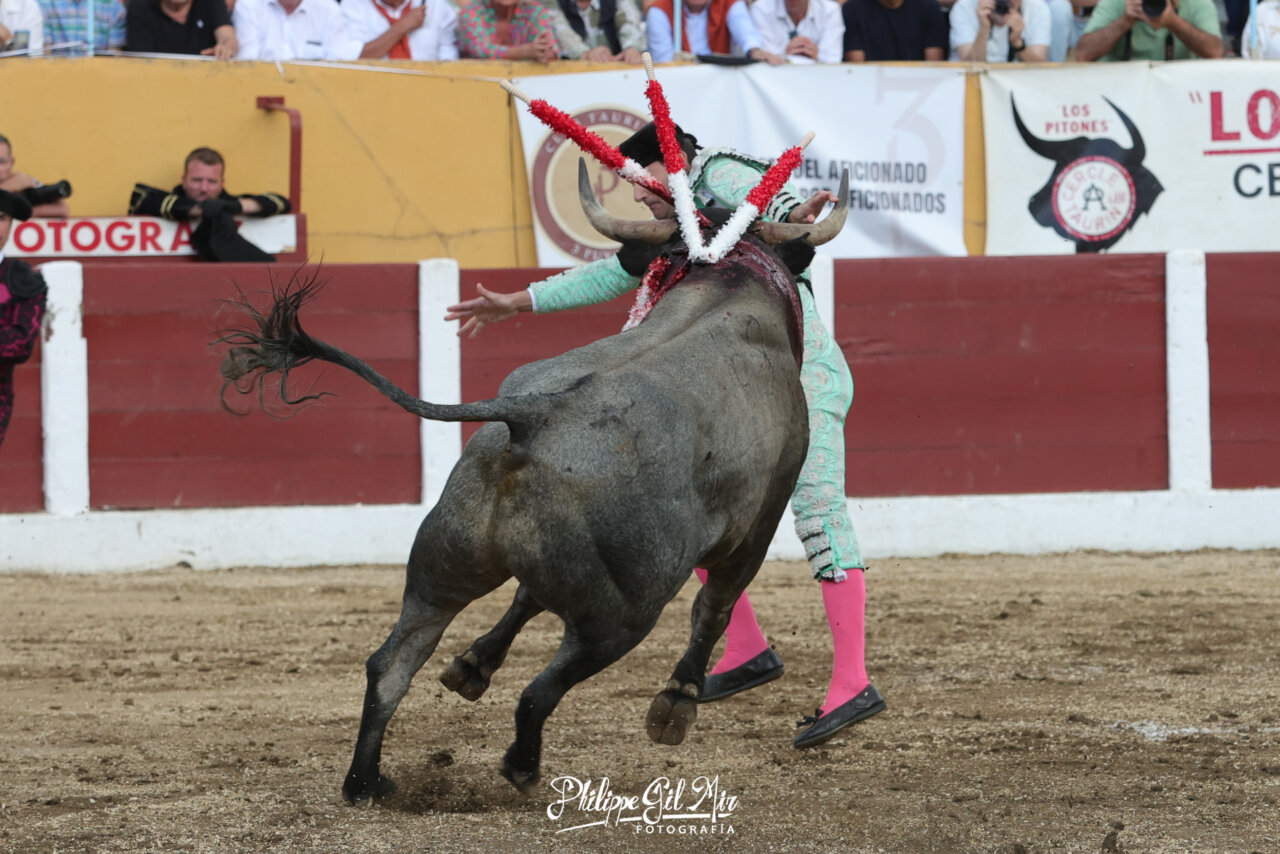 Foto: Phillipe Gil Mir