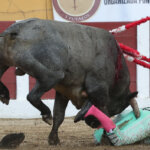 Foto: Phillipe Gil Mir