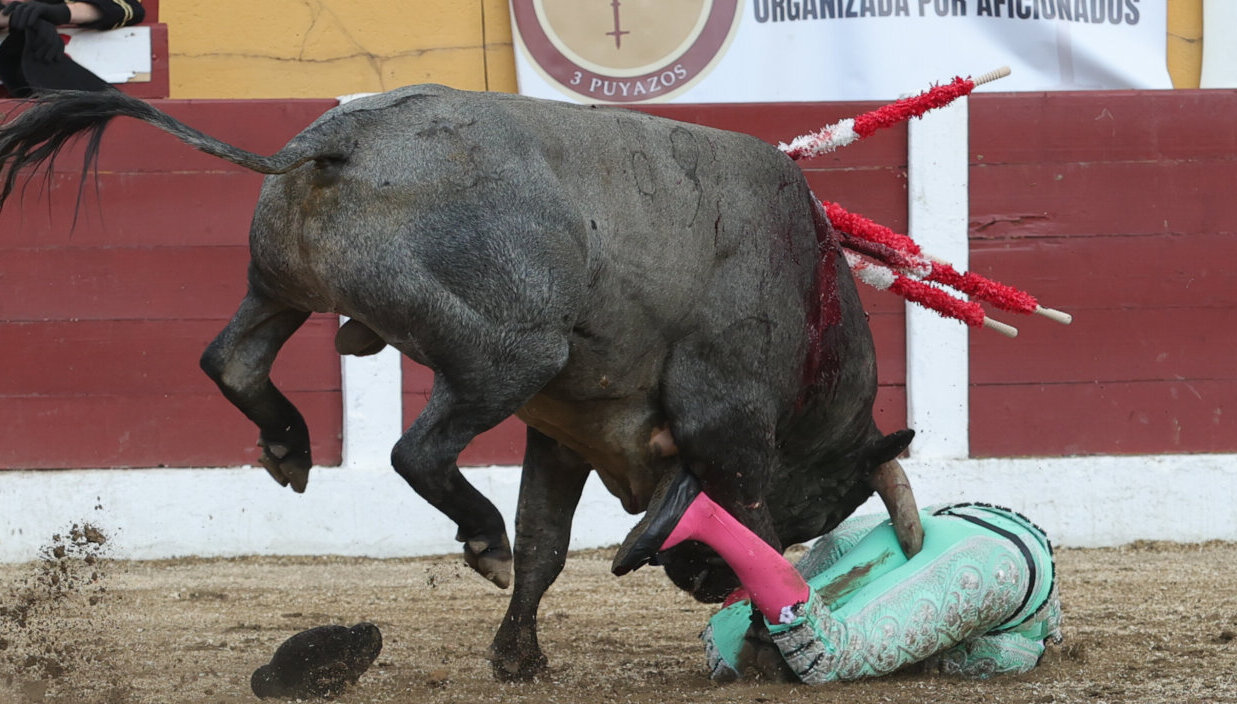 Foto: Phillipe Gil Mir