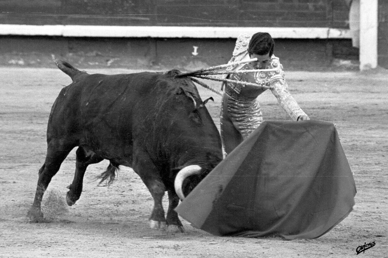 Premios a título póstumo