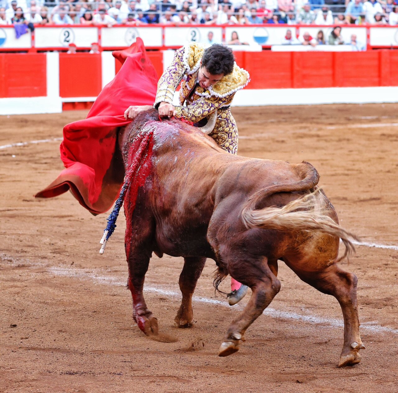 Tomás Rufo, dramática voltereta en una estocada a matar o morir