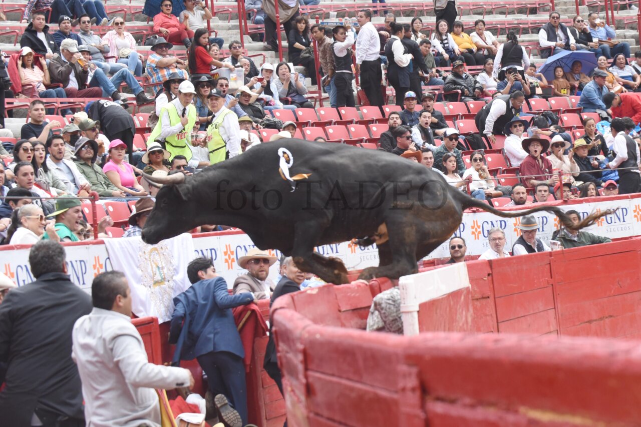 Acomedido quiso emular a Pajarito en la Plaza México