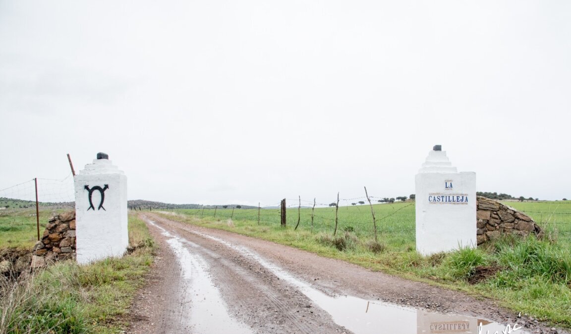 Fallece Antonio García Galán, ganadero de La Castilleja