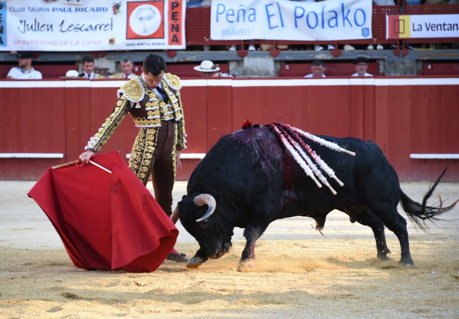 Tibio arranque en Mont de Marsan